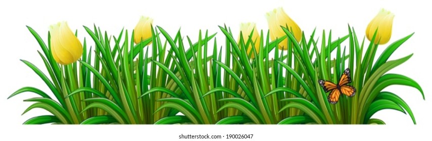 Illustration of a garden with yellow flowers on a white background