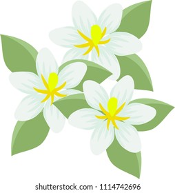 1,310 Gardenias Vector Images, Stock Photos & Vectors 