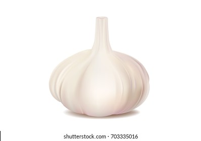 illustration of garlic on white background