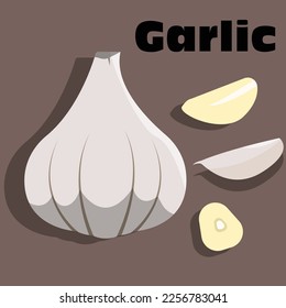 illustration of Garlic, garlic vector, for teacher, student college, businness , banner, flyer, brochure, power point , logo, poster, ads, and comercial use