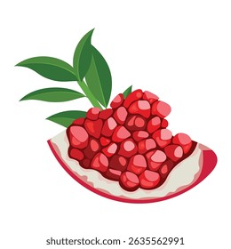 Illustration of garnet, sliced, cutted and half with leaves. Vector illustration isolated on white background.