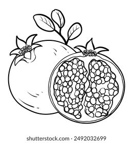 Illustration of garnet, whole and half, outline vector illustration isolated on white background, eps10