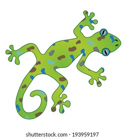  An illustration of a gecko