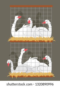 Illustration of Geese Crowded In a Stage of Cages. Overcrowding