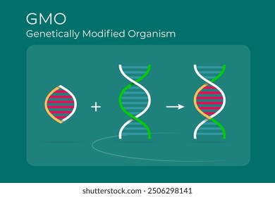 Ilustración del proceso de modificación genética a través de OGM (Organismo Modificado Genéticamente) agregando nuevos genes