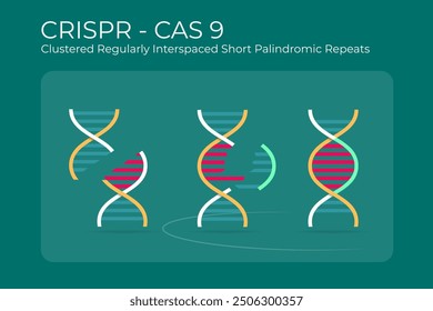 Illustration of the gene modification process through CRISPR CAS9 by deleting and adding new ones