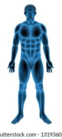 Illustration of a generic male body