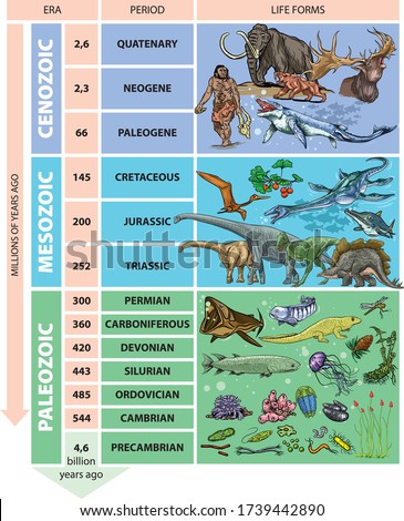 Illustration of geological time scale - periods. Foto d'archivio © 