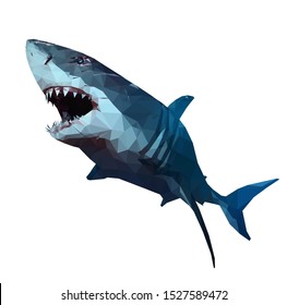 illustration of geometric shark on the white background