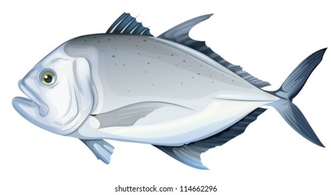 Illustration of a giant trevally (Caranx ignobilis)