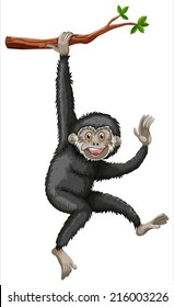 Illustration of a gibbon hanging from a branch