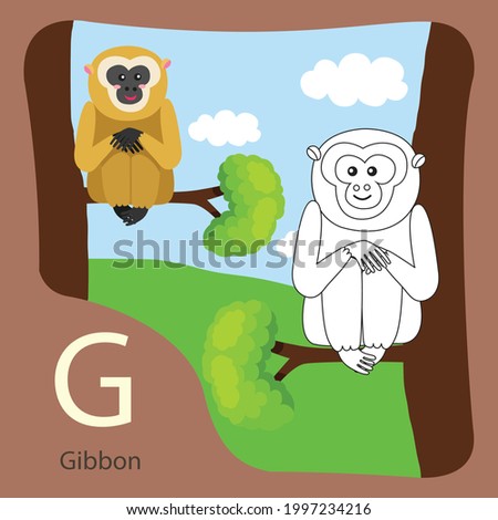 Illustration  of gibbon isolated and coloring