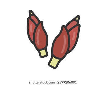 Illustration of ginger icon (line drawing color).