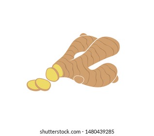 illustration of ginger root plant isolated on white background
