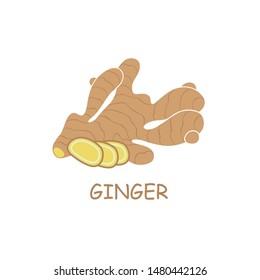 illustration of ginger root plant isolated on white background