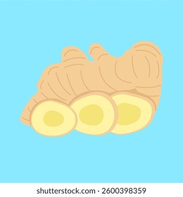 Illustration of Ginger Spice Plant with Slices. Kitchen spice or herb. Flat art Design