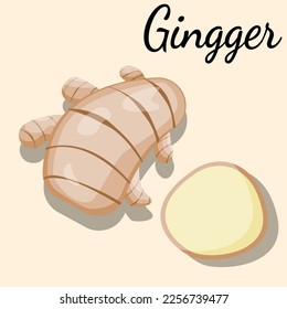 illustration of a ginger, vector, ginger bread, for teacher, student, collage, banner, flyer, power point, brochure, poster, ads, and comercial use, ginger soup