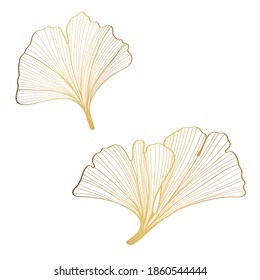 Illustration of ginkgo biloba leaves. Background with golden leaves. Ginkgo branches for invitations.