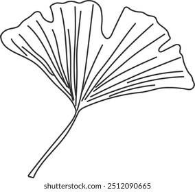 An illustration of a ginkgo with distinctive hand drawn lines