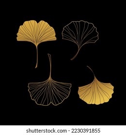 Illustration of a ginkgo leaf.