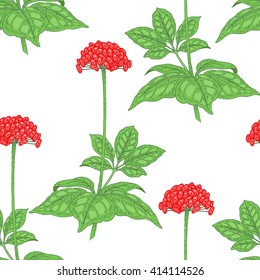 Illustration of ginseng. Seamless vector pattern. Berries of medicinal plants on a white background.