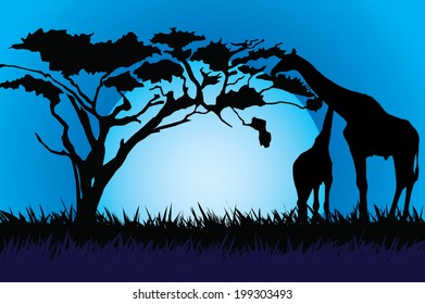 illustration of Giraffe in African night safari.