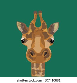 Illustration of a giraffe. The head of the giraffes.