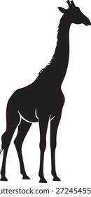 Illustration of a giraffe, isolated on a white background, perfect for wildlife, safari, kids designs, education, zoo, and creative animal-themed projects.