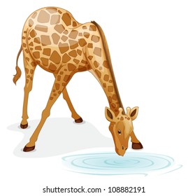 illustration of a giraffe on a white background