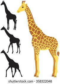 Illustration of giraffe over white background. 3 silhouette versions included. No transparency used. Basic (linear) gradients used.