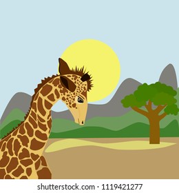 Illustration with giraffe in savanna. Good for greeting card for birthday, invitation or banner of zoo or safari. Color vector illustration.