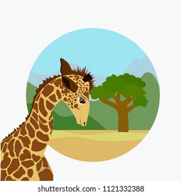 Illustration with giraffe in savanna. Good for greeting card for birthday, invitation or banner of zoo or safari. Color vector illustration.