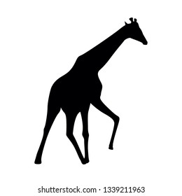 illustration of a giraffe silhouette