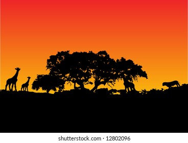 illustration of a giraffe with sunset background