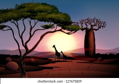Illustration of giraffes in the dessert