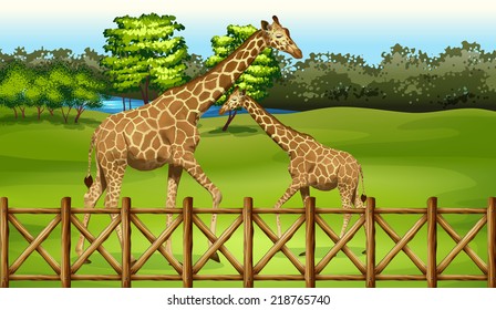 Illustration of the giraffes in the forest