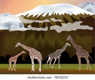 illustration with giraffes near mountain