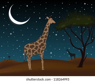 Illustration of giraffes at night