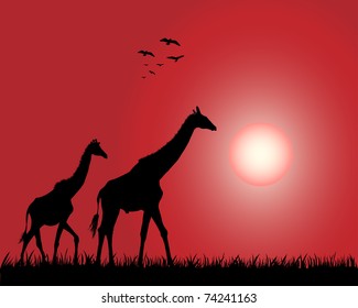 Illustration of the giraffes on the decline