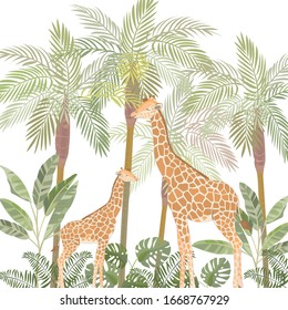 Illustration of giraffes in safari. Cartoon.