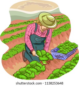 Illustration of a Girl Wearing Overalls, Boots and a Hat Harvesting Leafy Vegetables in the Fields