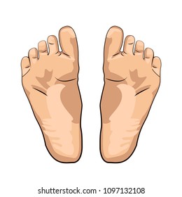 illustration of a girl's foot. foot of the Egyptian type. Feet Foot Legs.
