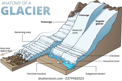 illustration of glacier cross section diagram