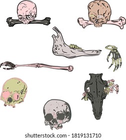 Illustration of glamorous skulls in crimson color isolated on white background. Fashion set in the style of Halloween, witches, mystic for printing on paper, clothes, logo, coloring, blank for 