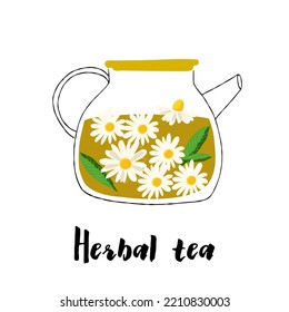 Illustration of a glass teapot  with herbal chamomile tea