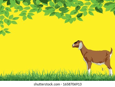 illustration of a goat in a meadow