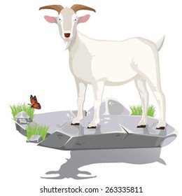 illustration.  goat on stone