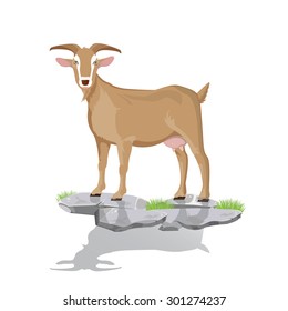 illustration. goat on stone