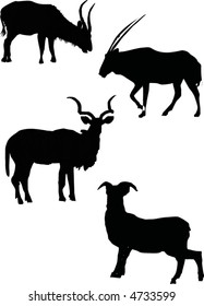 illustration with goat silhouettes isolated on white background