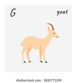 Illustration of goat. Simple flat vector illustration for emblem, badge, insignia.